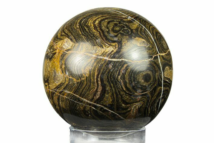 Polished Stromatolite (Greysonia) Sphere - Bolivia #302459